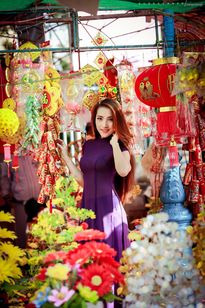 电影《偷香》在线观看